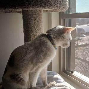 Meet your Posher, Heather